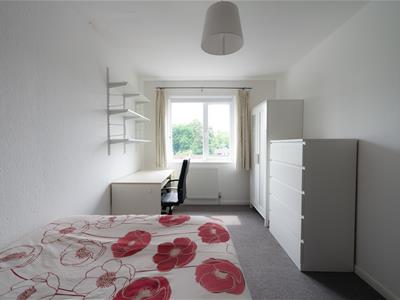 Picture 32